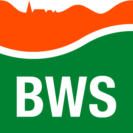 BWS